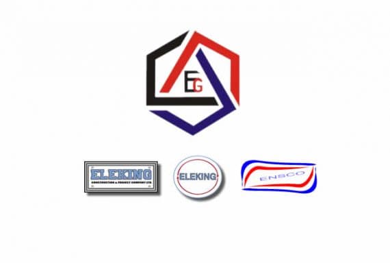 ELEKING Group company logo